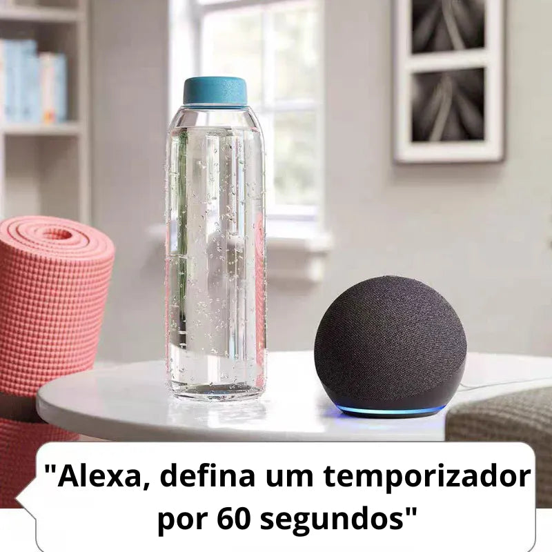 Alexa Echo Dot